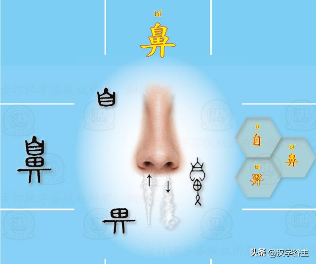 道開頭的成語有什么？道開頭的成語接龍大全！