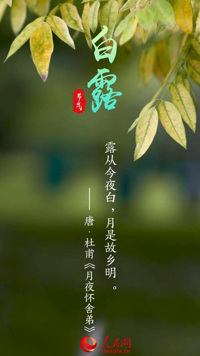 溫字五行屬什么意思？溫字五行屬什么的意思！