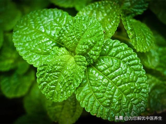 謝這個(gè)字的五行屬什么及意思？謝的五行屬性是屬什么！