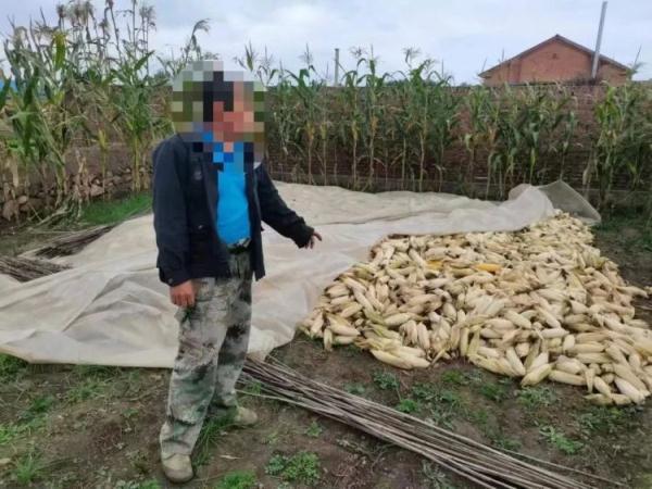 什地什么意思？這個地是什么意思！