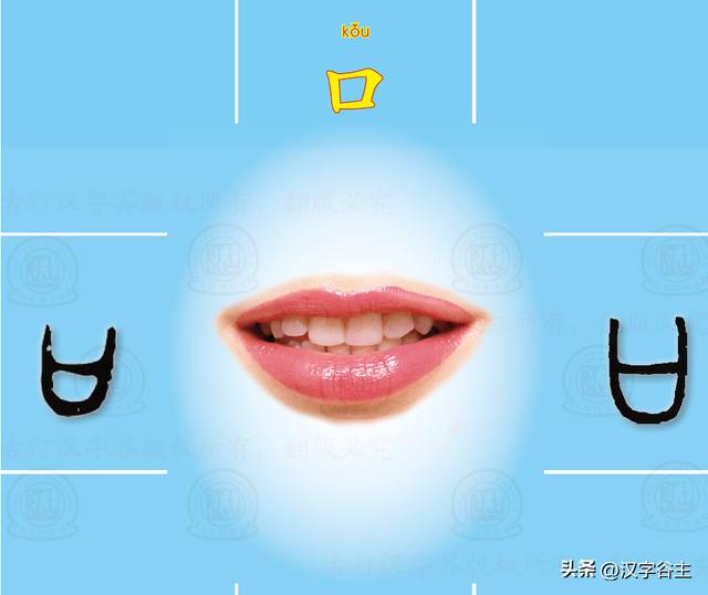 道開頭的成語有什么？道開頭的成語接龍大全！