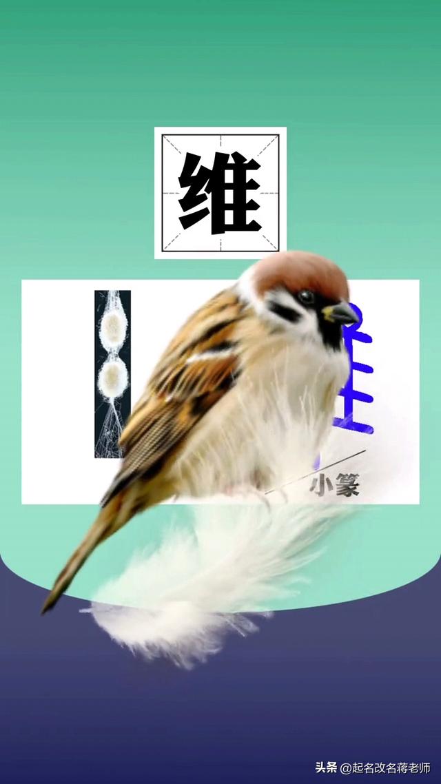 孩子起名測(cè)名打分免費(fèi)？寶寶起名免費(fèi)測(cè)名打分！