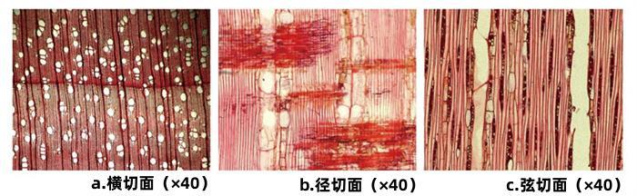 渝字五行屬什么的吉兇？渝字五行屬性什么！