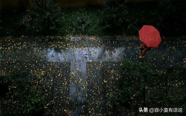 孤獨(dú)落寂的意思？寂寞寥落的意思！
