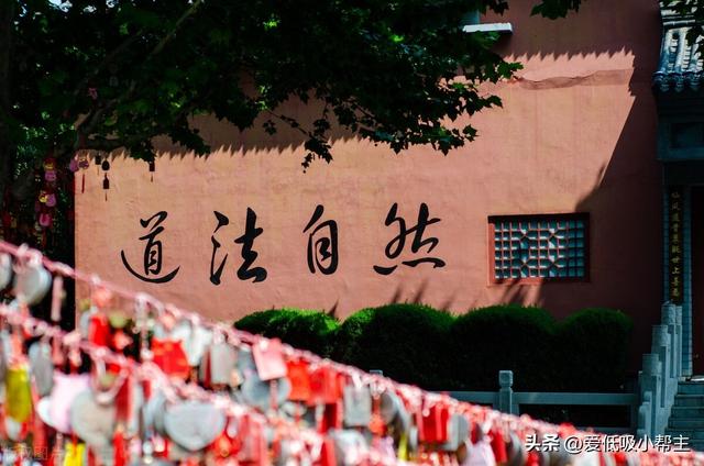 字字五行屬性什么？五行屬木的字！