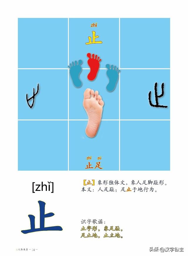 道開頭的成語有什么？道開頭的成語接龍大全！