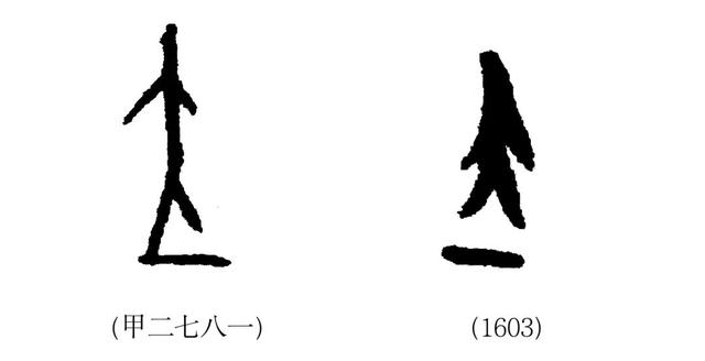 地字五行屬什么和意義？地字的意思五行屬什么！