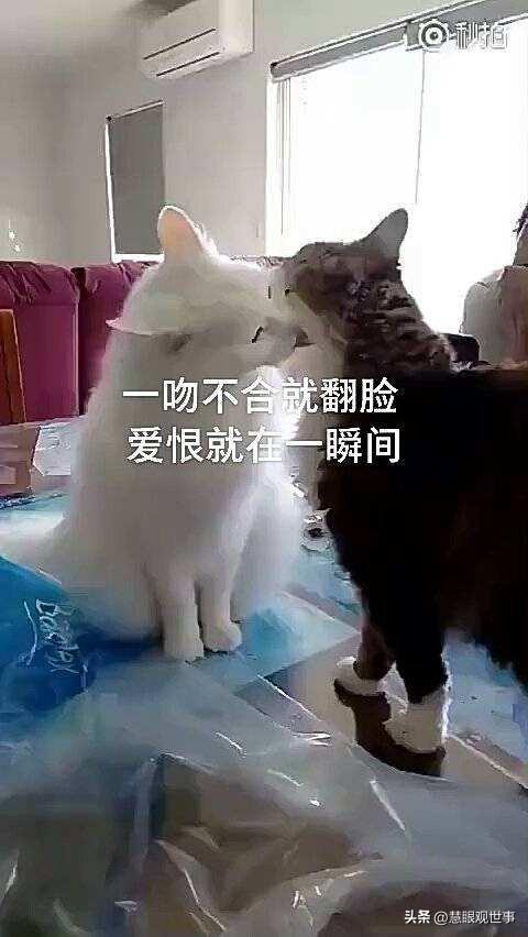 道開頭的成語(yǔ)大全四個(gè)字？然開頭的成語(yǔ)！