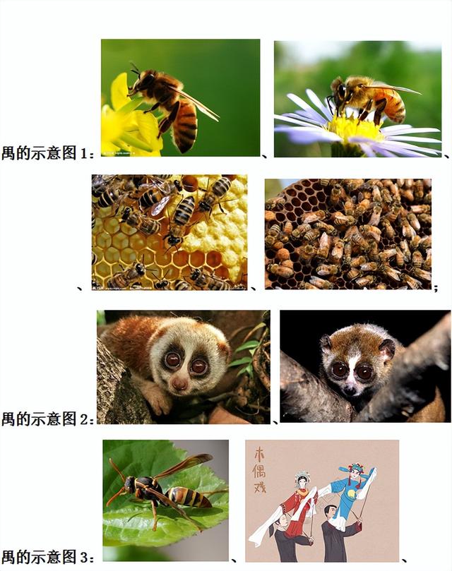 騏的意思和五行屬性？騏五行屬性！