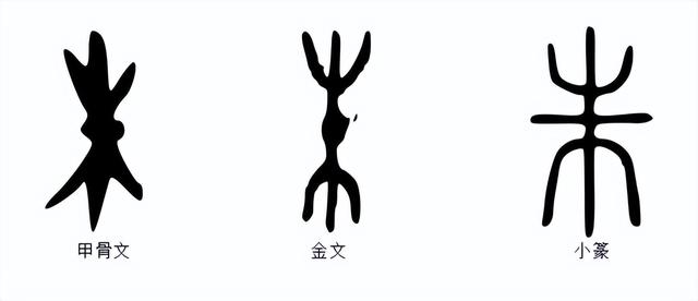朱字五行屬什么屬性？朱字五行屬什么的屬性！
