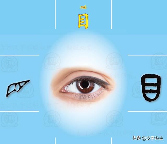 道開頭的成語有什么？道開頭的成語接龍大全！