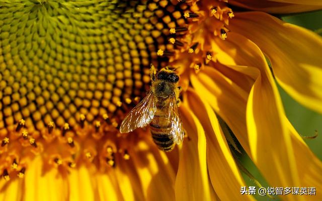 命開頭的成語？合開頭的成語接龍大全集最長調(diào)！