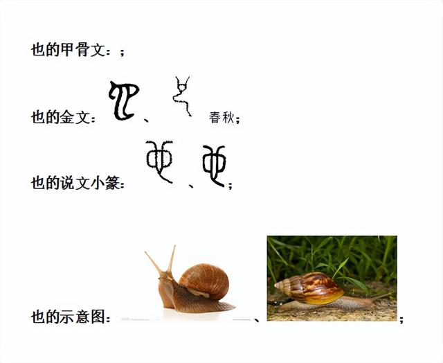 也字五行屬什么和意義？也字五行屬什么,有什么意！