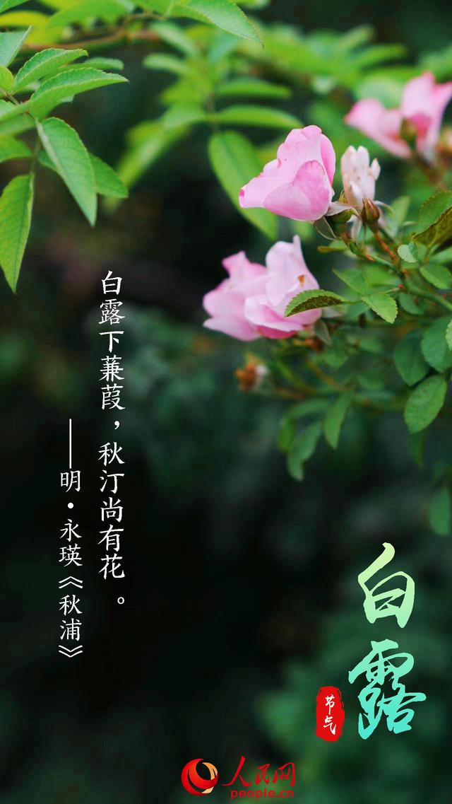 溫字五行屬什么意思？溫字五行屬什么的意思！