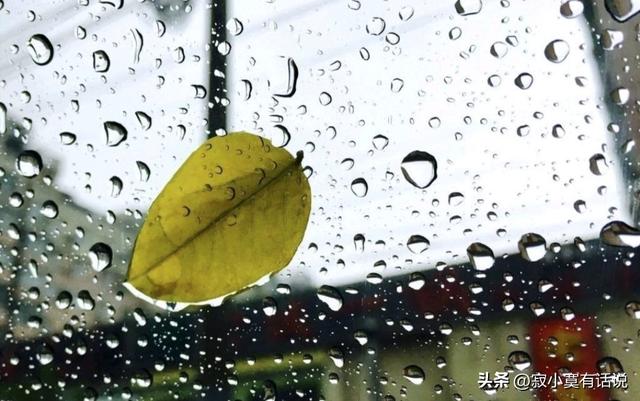 孤獨(dú)落寂的意思？寂寞寥落的意思！