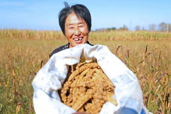 洲字五行屬什么生肖？洲字五行屬什么繁體字幾畫！