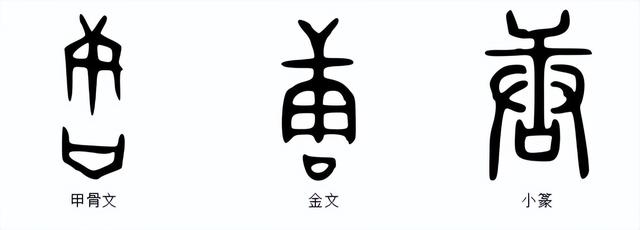 唐字五行屬什么屬性？唐字的五行屬性是什么！