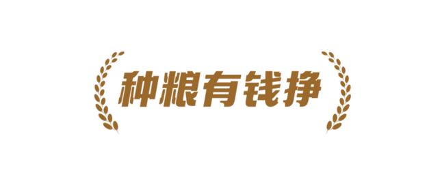 十字五行屬什么屬性？十字的五行屬性是什么！