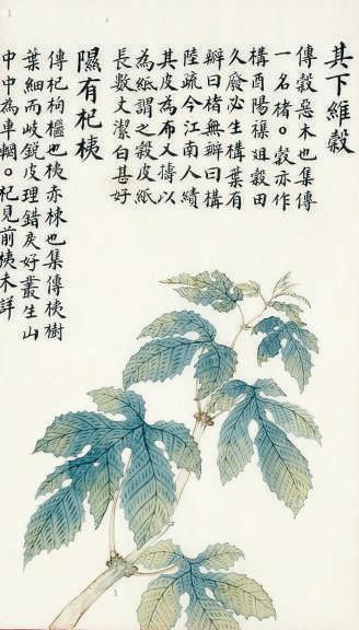 谷字五行屬什么屬性？谷字的五行屬性是什么！