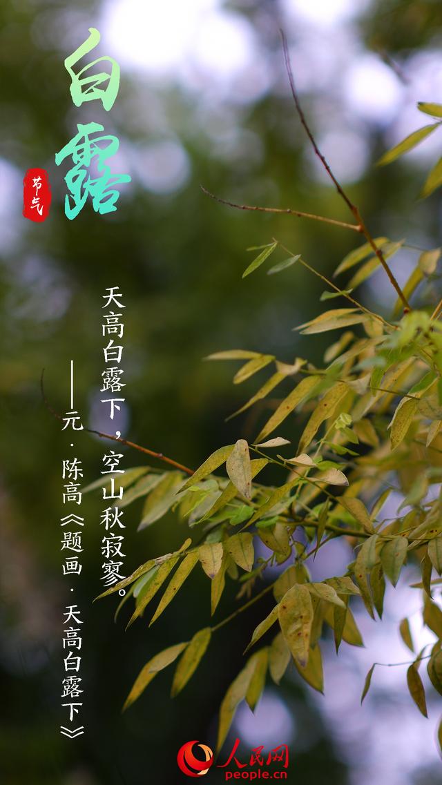 溫字五行屬什么意思？溫字五行屬什么的意思！