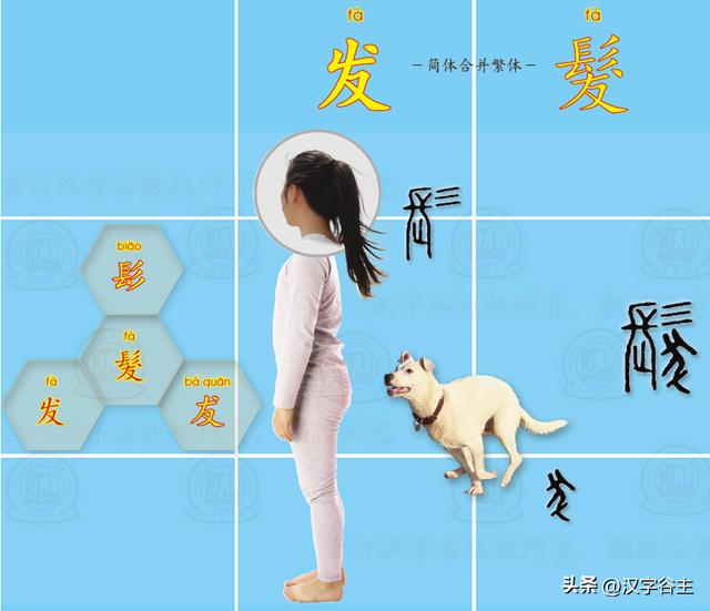 道開頭的成語有什么？道開頭的成語接龍大全！