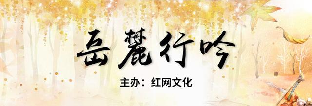 娛心意的娛是什么意思？娛樂的意思是什么意思！