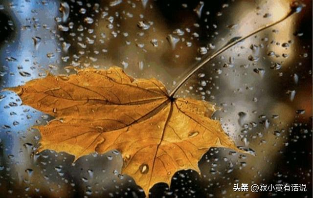 孤獨(dú)落寂的意思？寂寞寥落的意思！