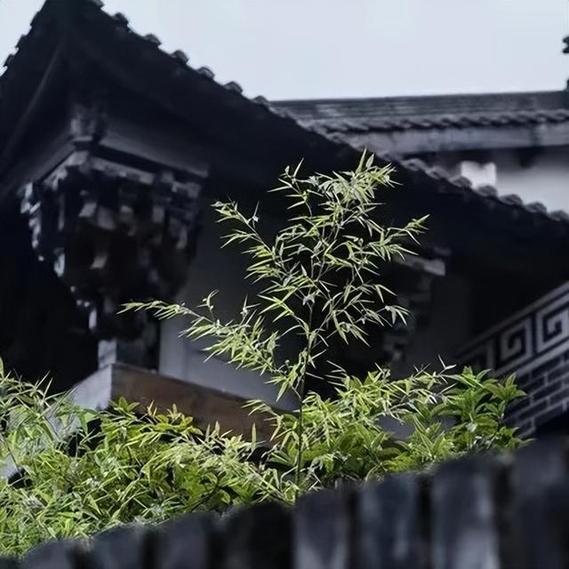 農(nóng)村民宿名稱大全簡單大氣？農(nóng)村民宿名稱大全簡單大氣四字！