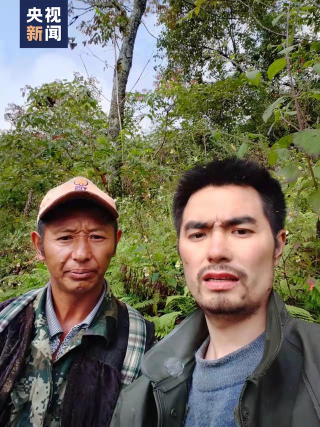 淋字的五行？淋字的含義名字好嗎！