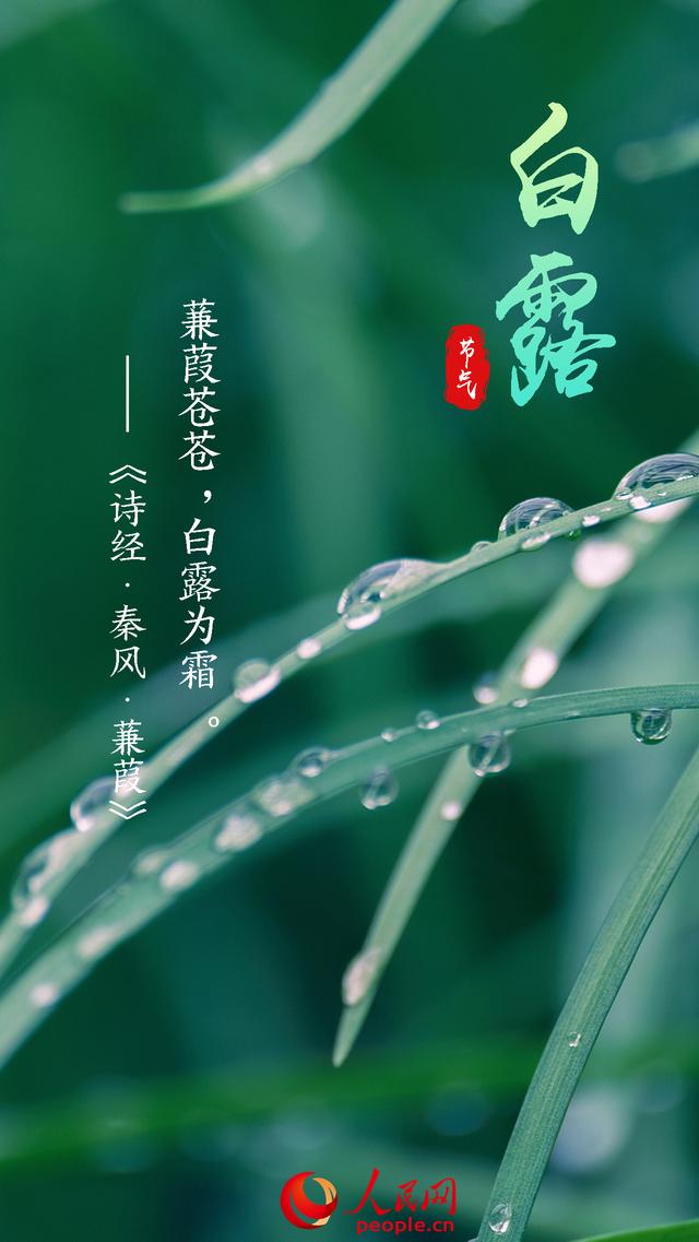 溫字五行屬什么意思？溫字五行屬什么的意思！