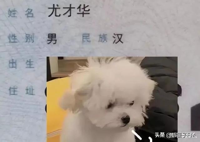 免費取名的網(wǎng)站？網(wǎng)站取名字大全！