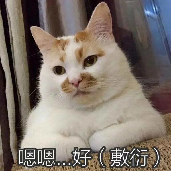 形狀的形的意思？形狀的狀的意思！