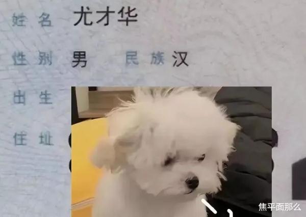 免費取名網(wǎng)有哪些網(wǎng)站？網(wǎng)站取名網(wǎng)！