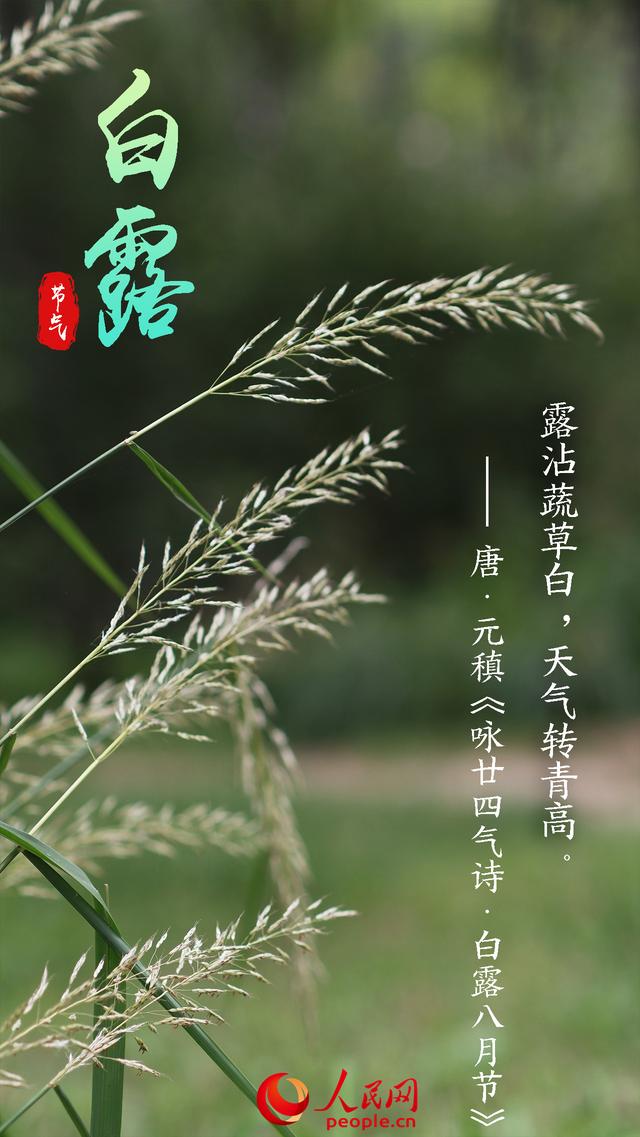 溫字五行屬什么意思？溫字五行屬什么的意思！