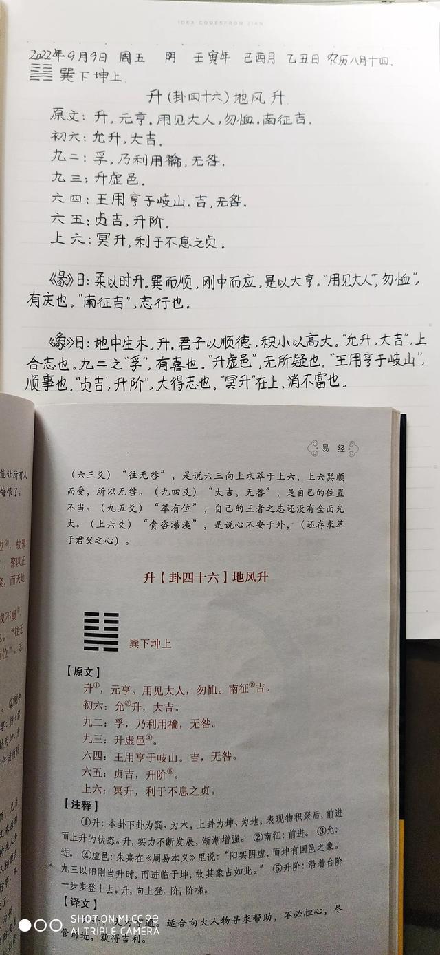 升字的意思和含義是什么？帶有上升意思的字！