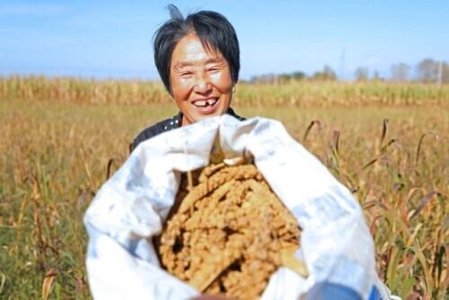 朱屬于什么五行屬性？朱字屬于五行屬什么！