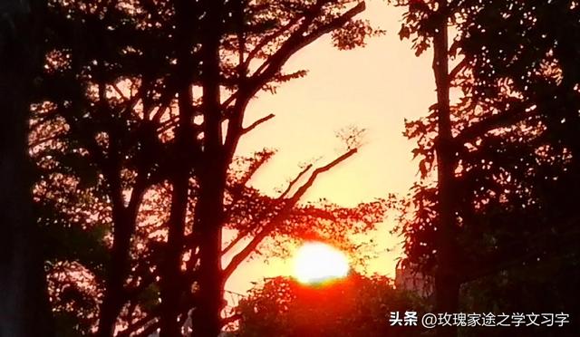 豐字筆順？豐字筆順筆畫！