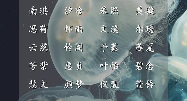 女孩昵稱文雅有氣質(zhì)？女孩昵稱文雅有氣質(zhì)微信！