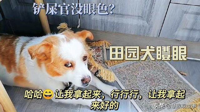 說開頭的成語？到開頭的成語！