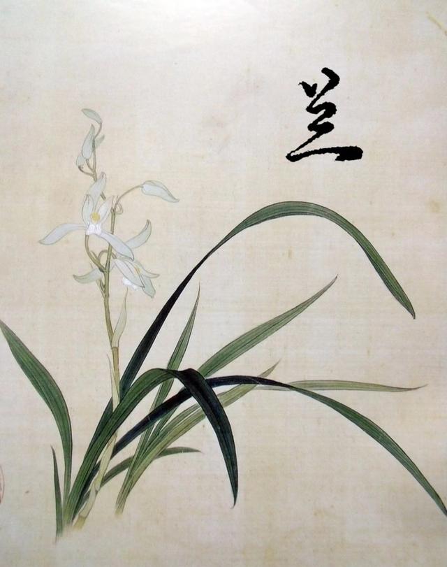 lan的成語開頭？爛的成語開頭！