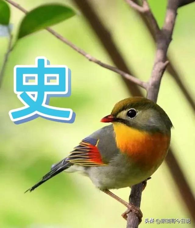 吳字取名男寶寶三個(gè)字？吳字取名男寶寶三個(gè)字的名字！
