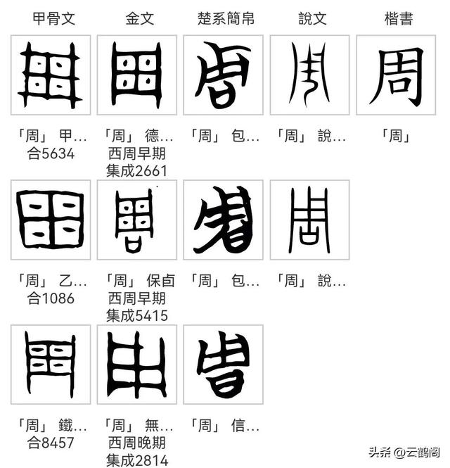 南字五行屬什么？康熙字典楠字五行屬什么！