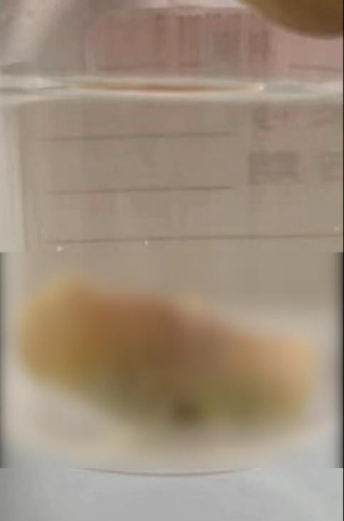 吐字的五行屬性是什么生肖？嚼字五行屬什么！
