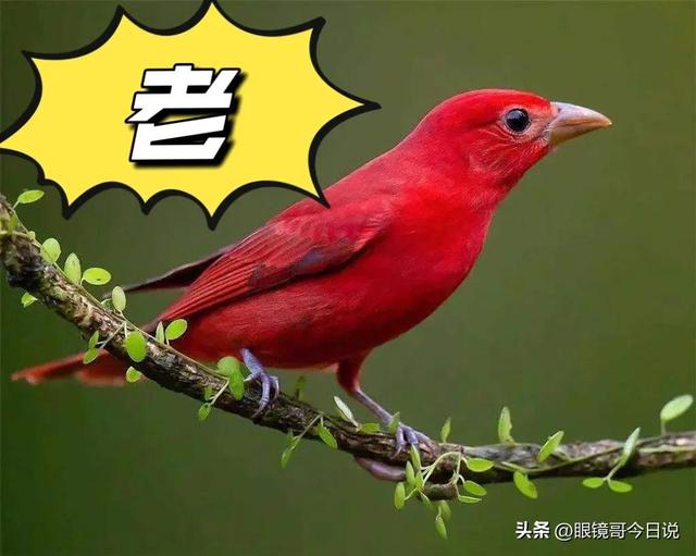 吳字取名男寶寶三個(gè)字？吳字取名男寶寶三個(gè)字的名字！