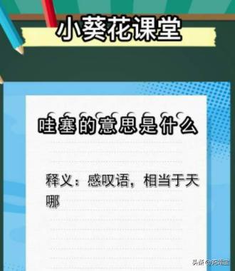 哇的意思是什么？哇哦的意思是什么意思！