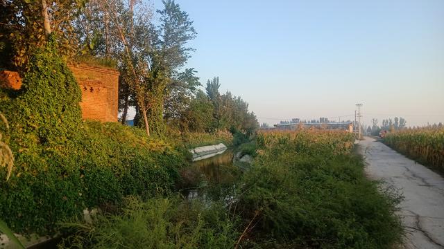 什么皺眉頭計(jì)上心來(lái)歇后語(yǔ)？什么皺眉頭計(jì)上心來(lái)歇后語(yǔ)填人名！