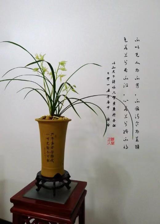 lan的成語開頭？爛的成語開頭！