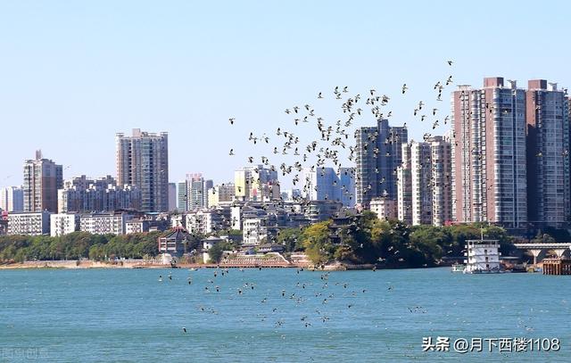廖的五行屬性？廖的五行屬性是什么！