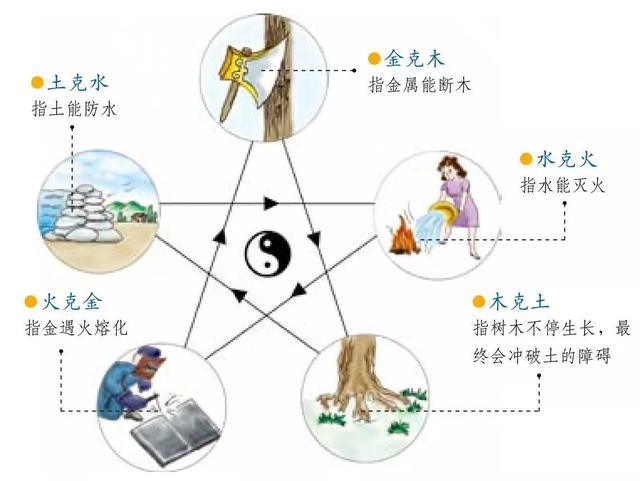 成五行屬性是什么木的字？成五行屬性是什么水的字！