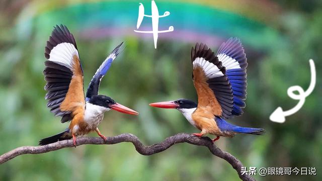 吳字取名男寶寶三個(gè)字？吳字取名男寶寶三個(gè)字的名字！